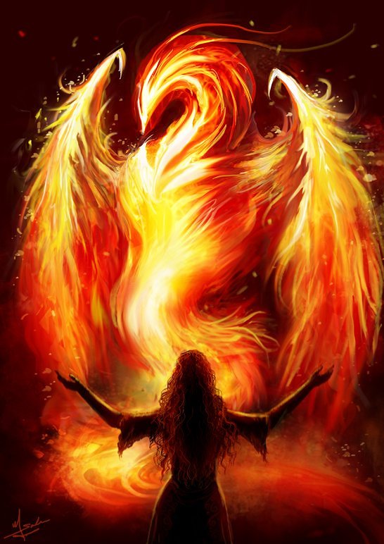 the phoenix by evolvana-d4kxxtf